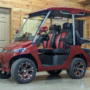 2022 Evolution Electric Vehicles D3