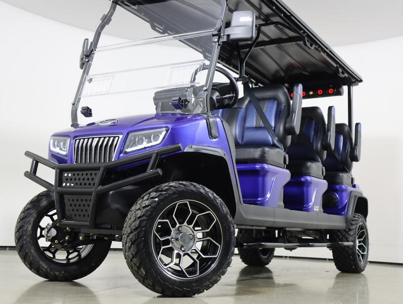 2024 Evolution Electric Vehicles D5-Maverick 6
